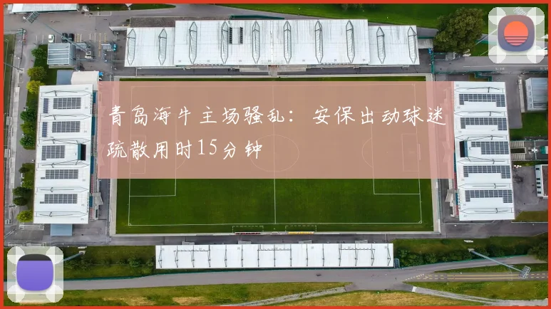 青岛海牛主场骚乱：安保出动球迷疏散用时15分钟